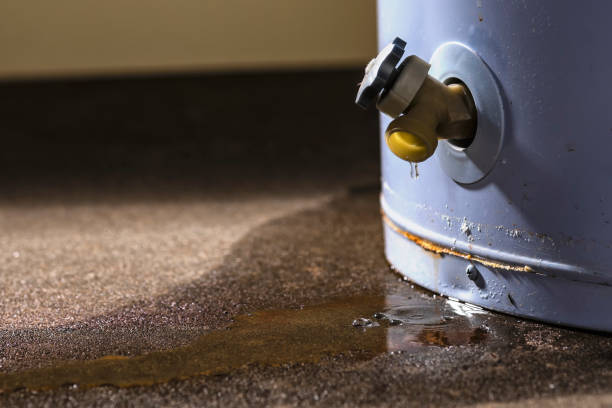 Best Local water damage restoration  in Burney, CA