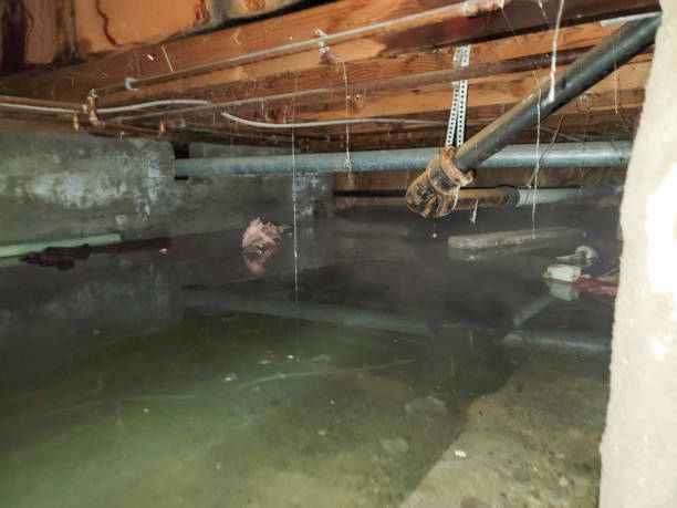 Best Water damage mitigation services  in Burney, CA