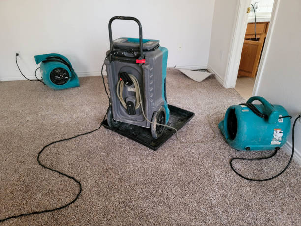Best Water damage restoration cost  in Burney, CA