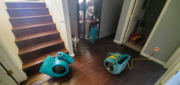 Best Fire Damage Restoration  in Burney, CA