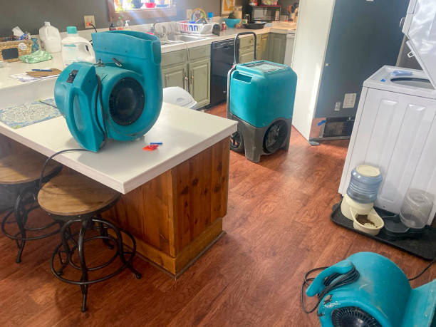 Best 24/7 water damage repair  in Burney, CA