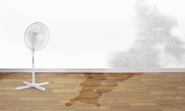 Best Residential water damage restoration  in Burney, CA