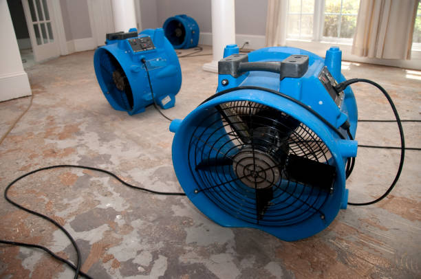Best Basement water damage restoration  in Burney, CA