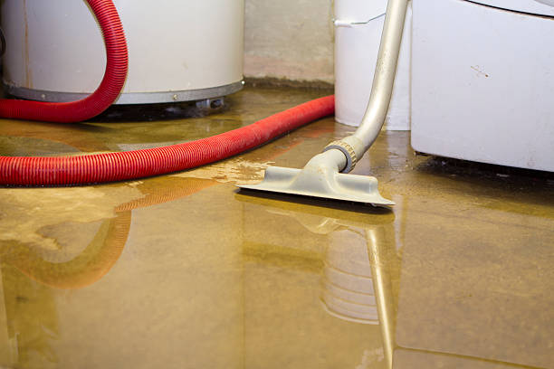 Best Sewage cleanup and water damage restoration  in Burney, CA