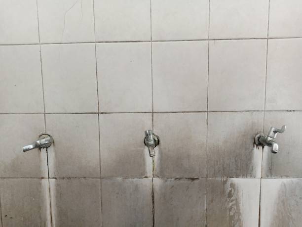 Best Water damage restoration specialists  in Burney, CA