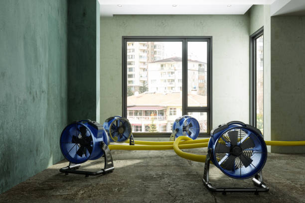 Best Professional water damage repair  in Burney, CA