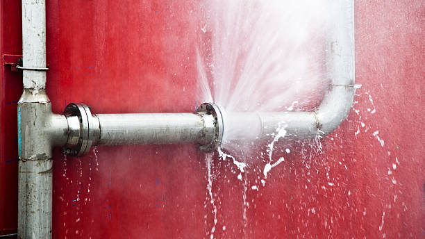 Best 24-hour water damage restoration  in Burney, CA